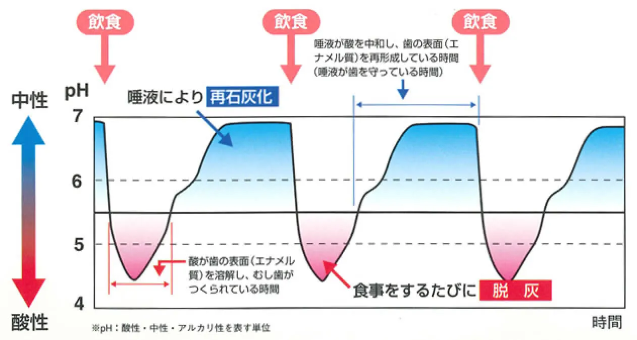 日常生活での唾液の再石灰化作用